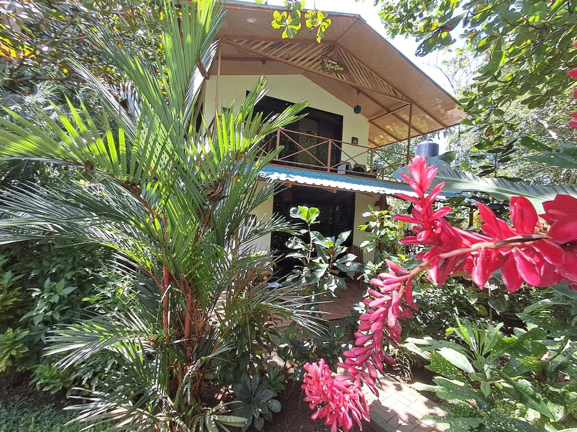 New Caribe Point Cahuita Exterior foto