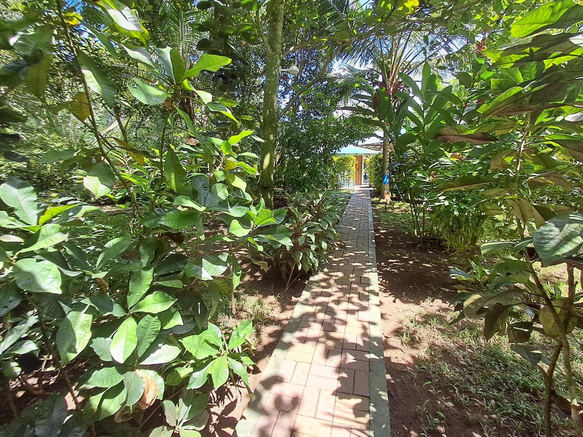 New Caribe Point Cahuita Exterior foto