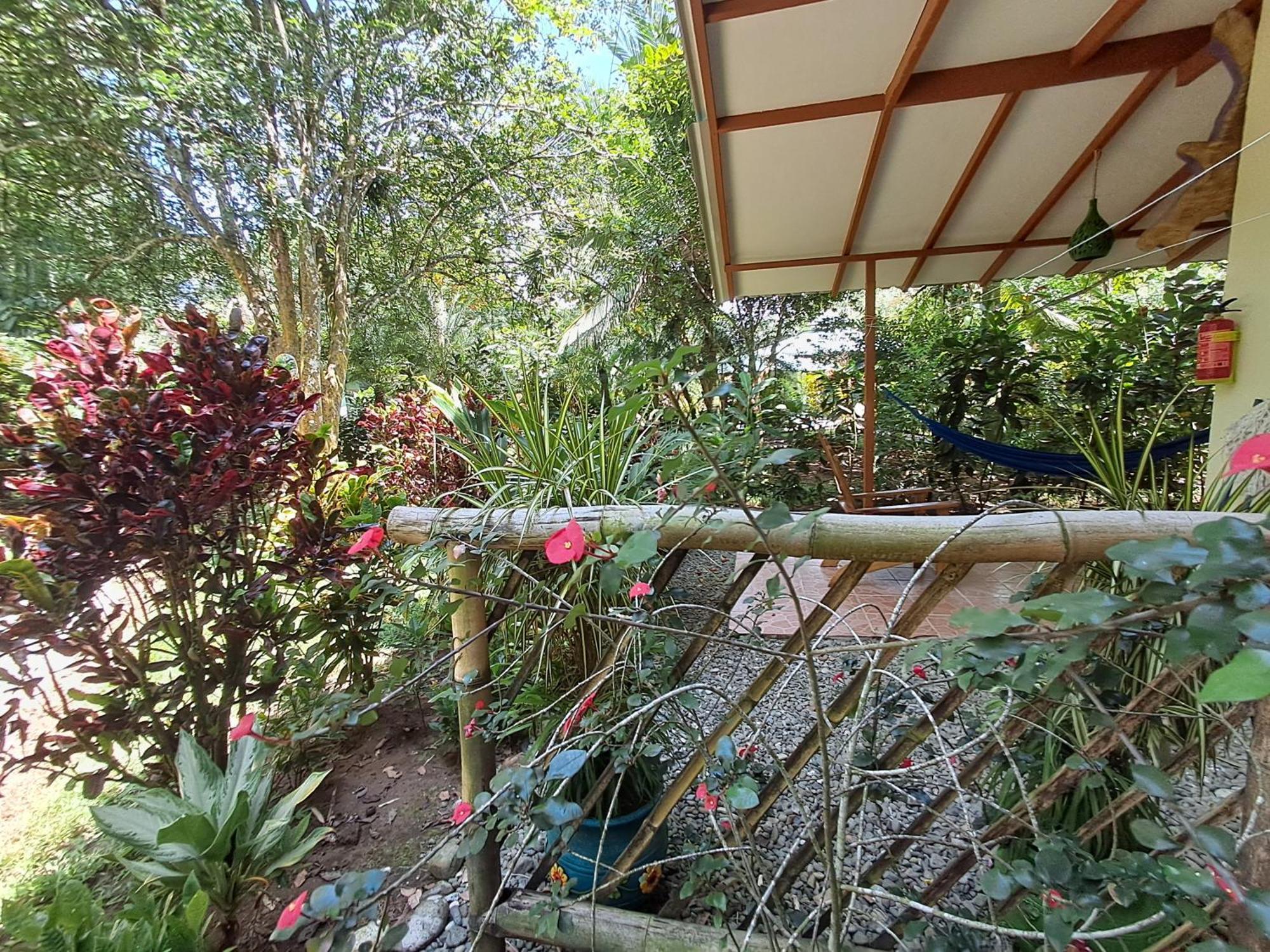 New Caribe Point Cahuita Exterior foto