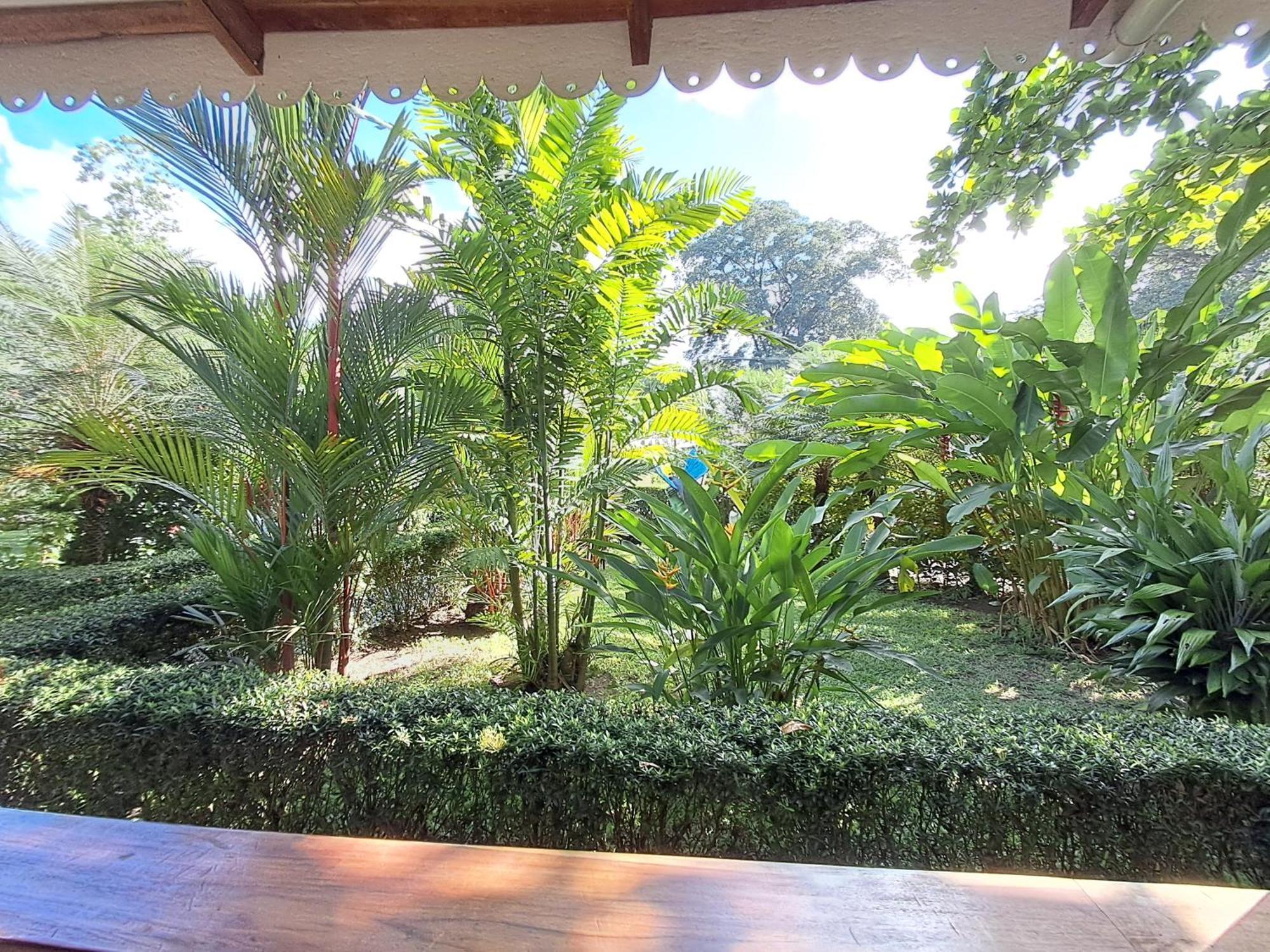 New Caribe Point Cahuita Exterior foto