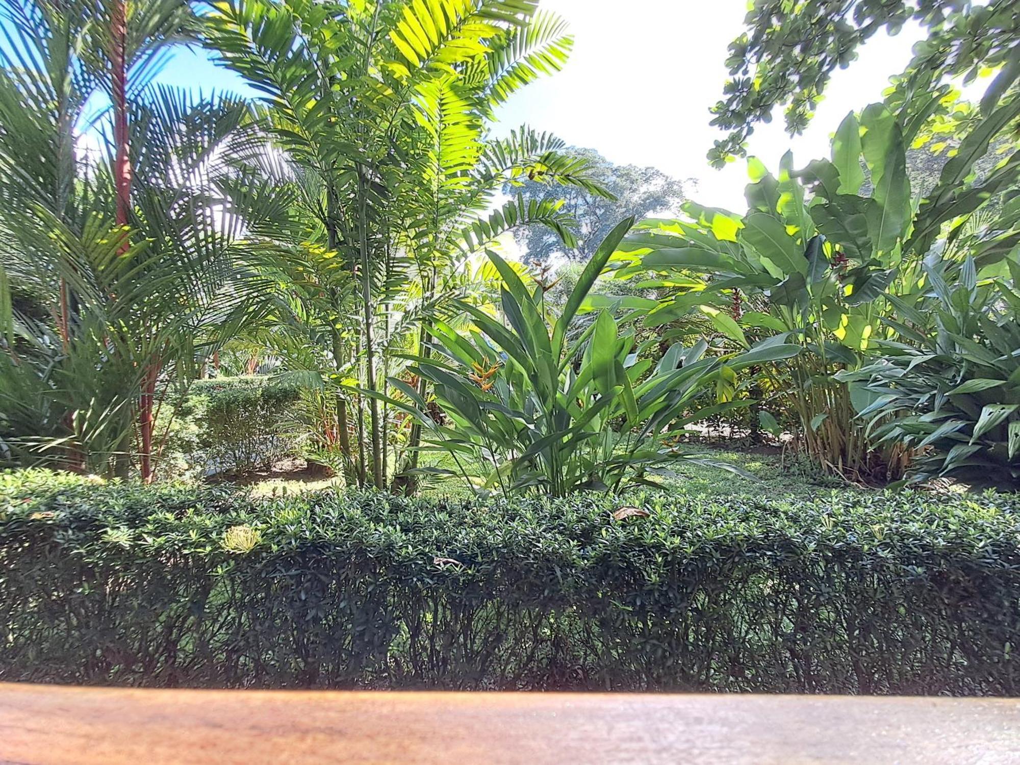 New Caribe Point Cahuita Exterior foto