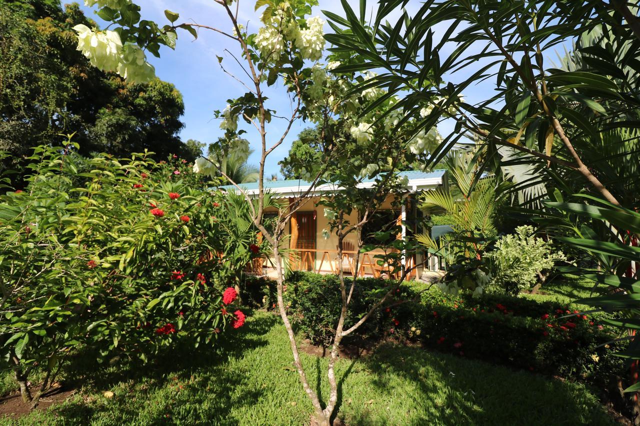 New Caribe Point Cahuita Exterior foto