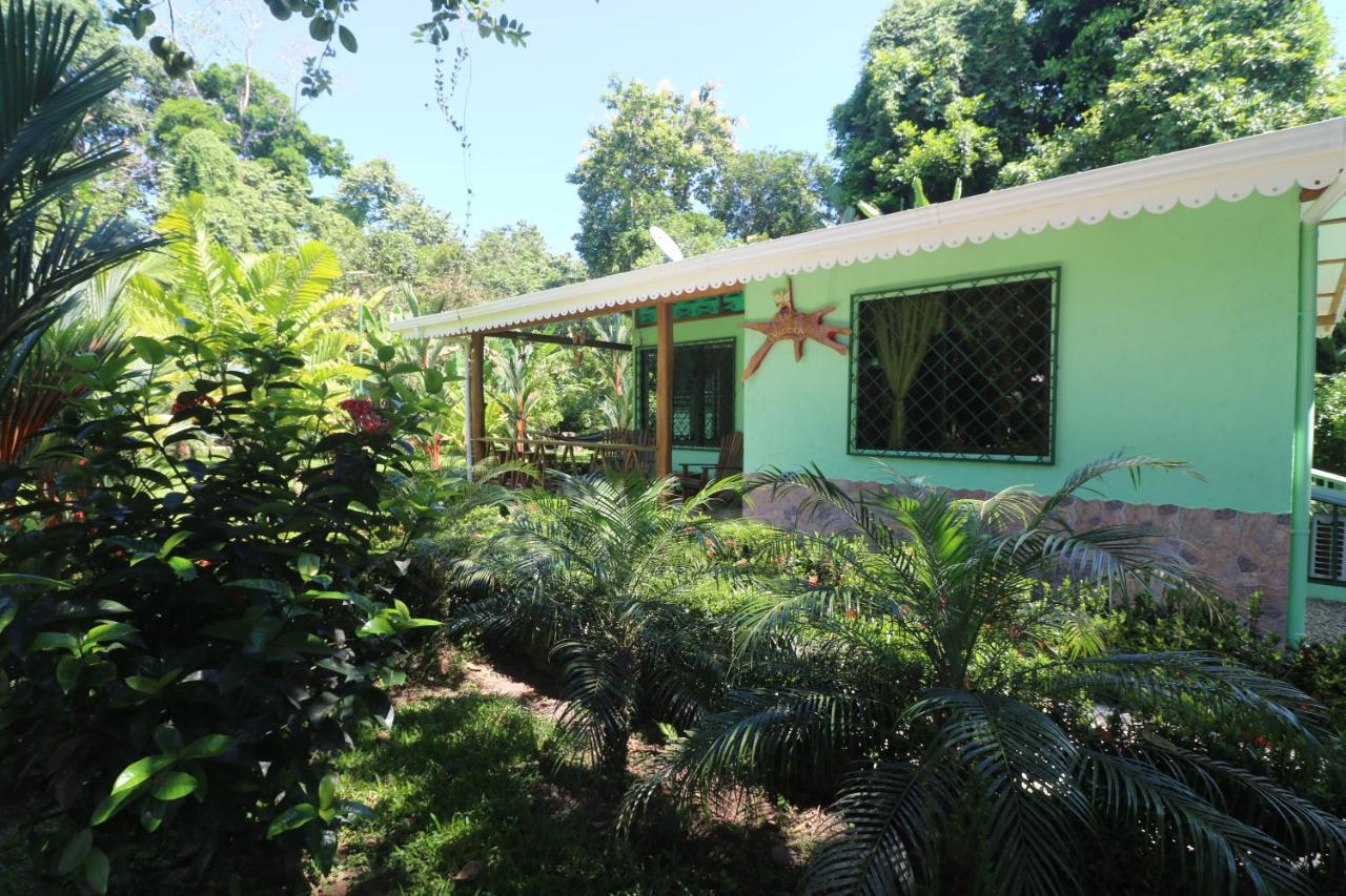 New Caribe Point Cahuita Exterior foto